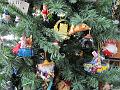 IMG_0050