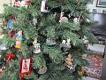 IMG_0058