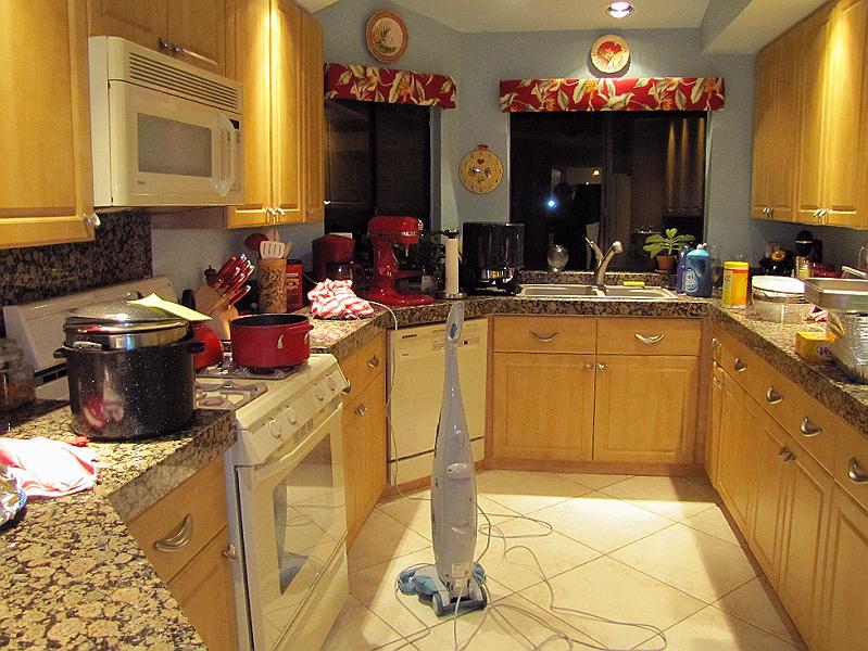 IMG_0338.JPG - the kitchen floor clean (for the moment!)