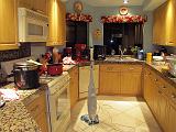 IMG_0338
