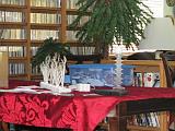 IMG_0519